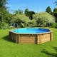 Piscine Bois Weva Octogonale 530 BWT myPOOL