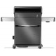 Napoleon Rogue® PRO-S 525 RSIB SIZZLE ZONE Gasgrill™ Seiten- und Heckbrenner