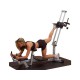 Glúteos fitness equipamentos Powerline Glute mestre