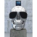 AeroSkull HD Plus Altavoz Bluetooth Jarre Technologies Crome Plata